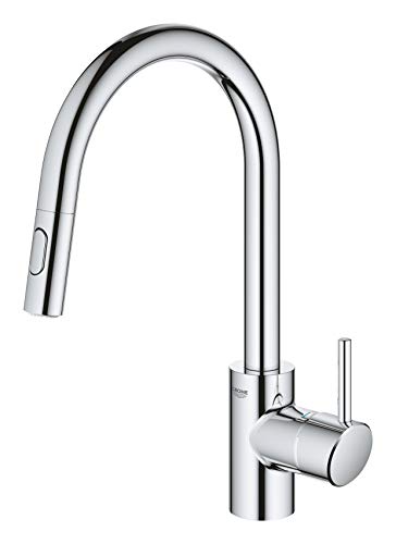 Grohe Concetto - Grifo de cocina 1/2